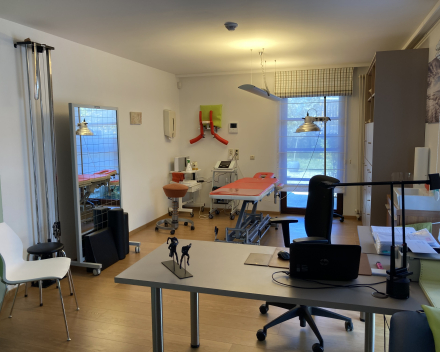 Kinesitherapie te De Haan